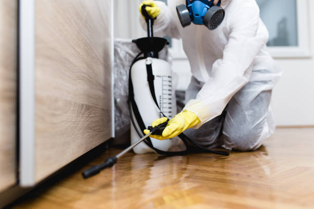 Best Insect Control  in Fulton, MD