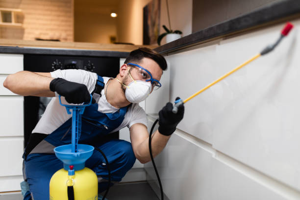 Best Wasp Removal Services  in Fulton, MD