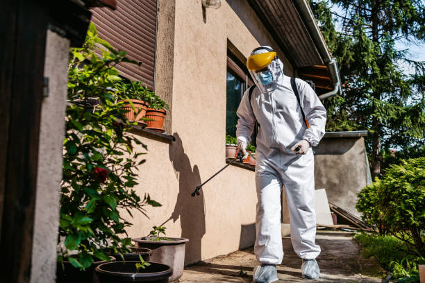 Best Rat Extermination Near Me  in Fulton, MD