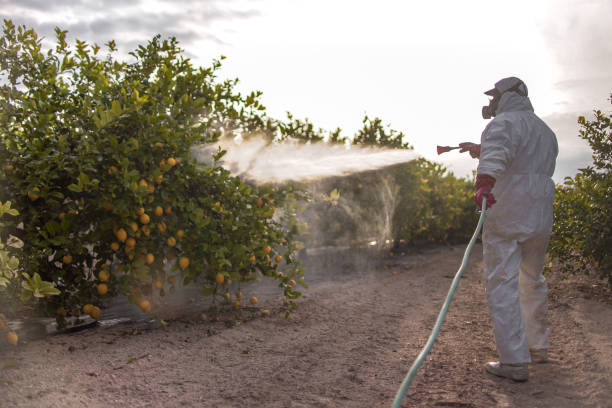 Professional Pest Control in Fulton, MD