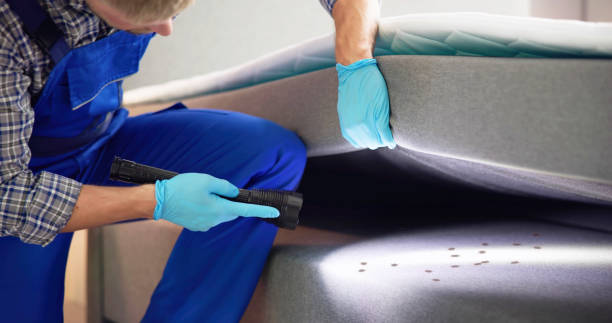 Best Cockroach Control Services  in Fulton, MD