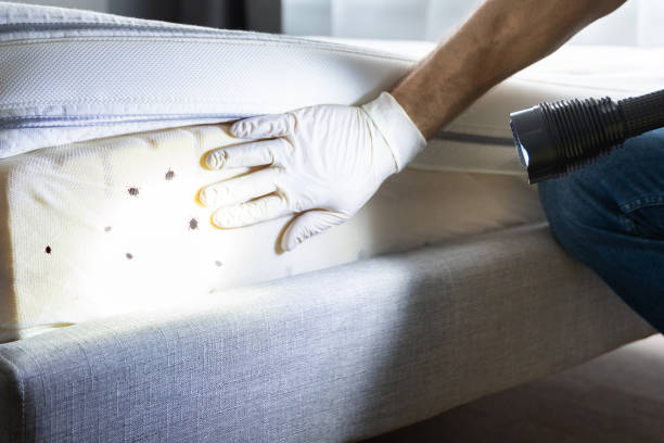Best Pest Control Treatment  in Fulton, MD